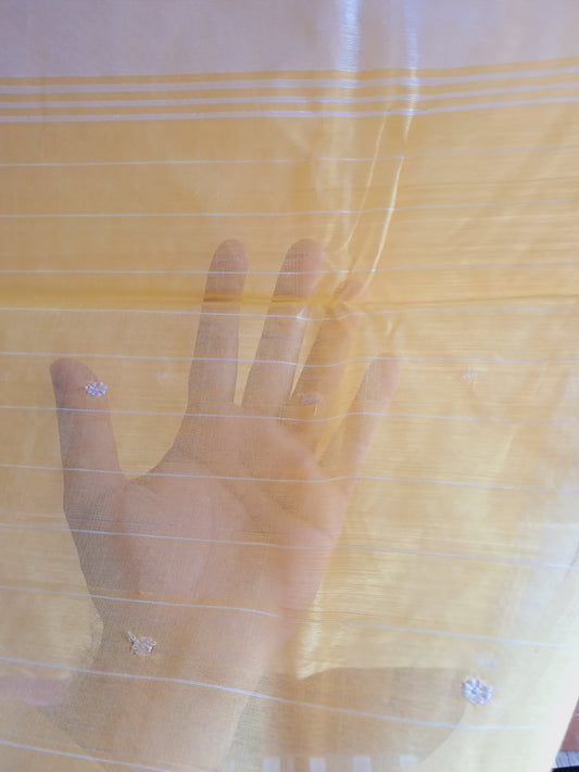 L6-P8: Lemon Yellow Cotton Silk Saree