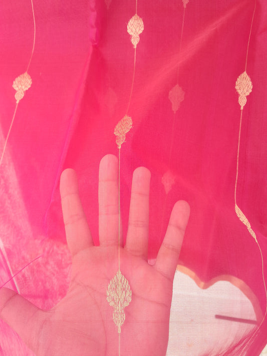 L2-P16-V4: Katan Silk Chanderi Saree