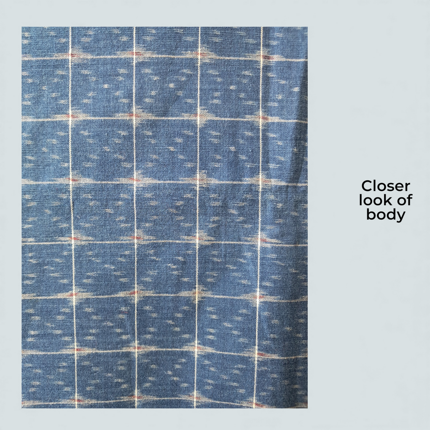 L9P06: Natural Colors Red and Blue Saree