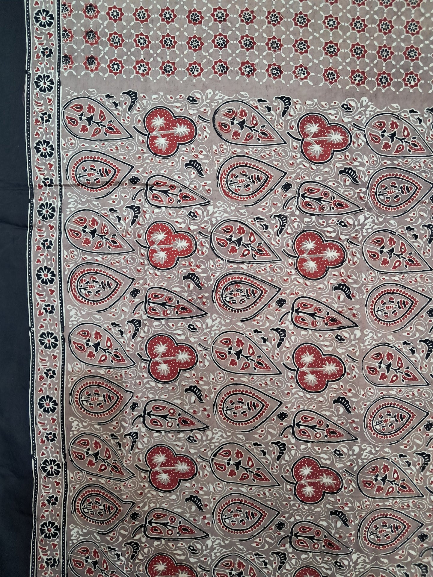 L4-P20: Brown Viscous Saree (Modal Silk)