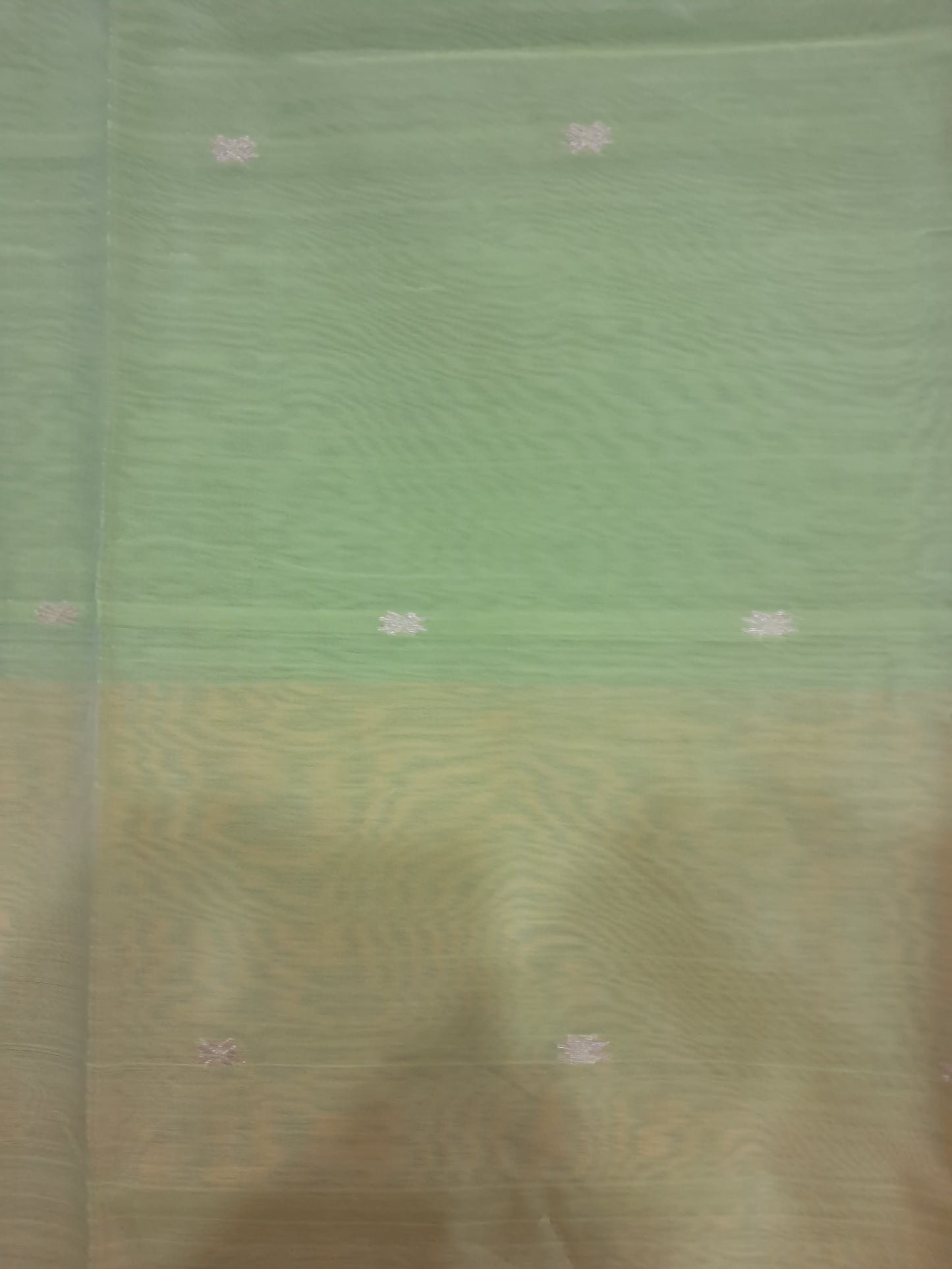 P37 - Parrot Green and Haldi Yellow Maheshwari Cotton Silk Saree
