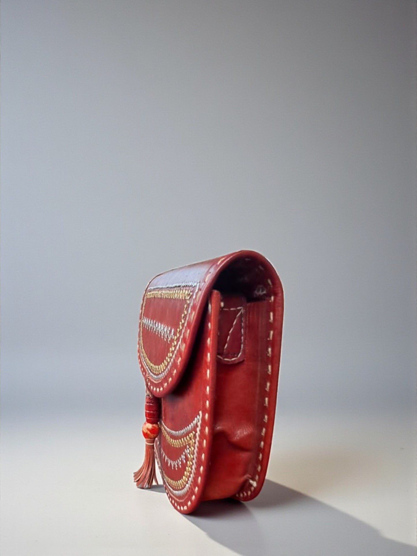 L5-P25: Zari Leather Bag