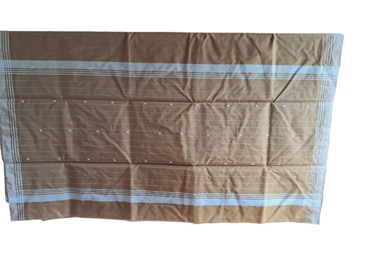 L6-P10: Sand Brown Cotton Silk Saree