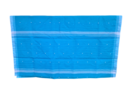 L6-P7: Sky Blue Cotton Silk Saree
