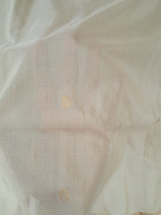 L2-P31: Minimalistic Silk Chanderi Saree